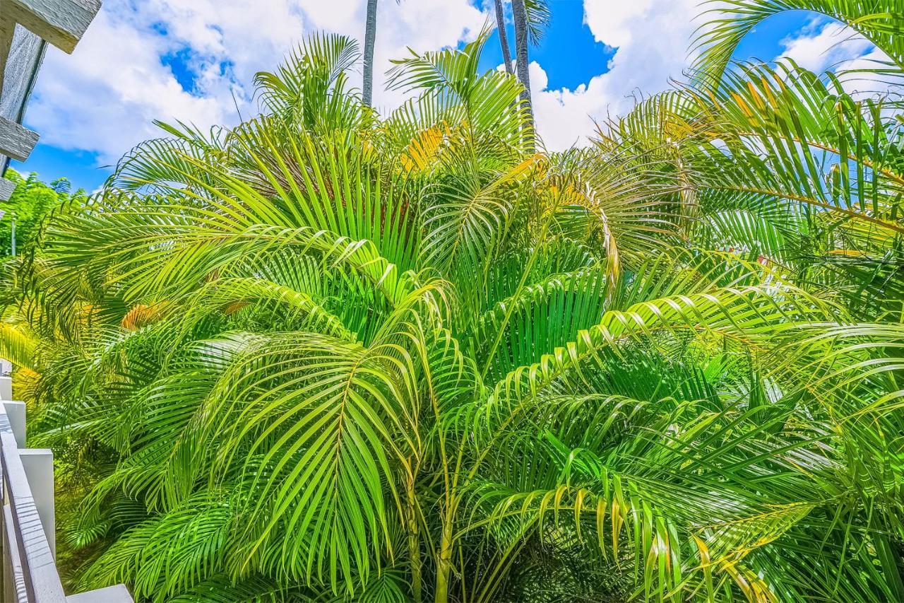 Апартаменты Plantation Hale A10 Капаа Экстерьер фото